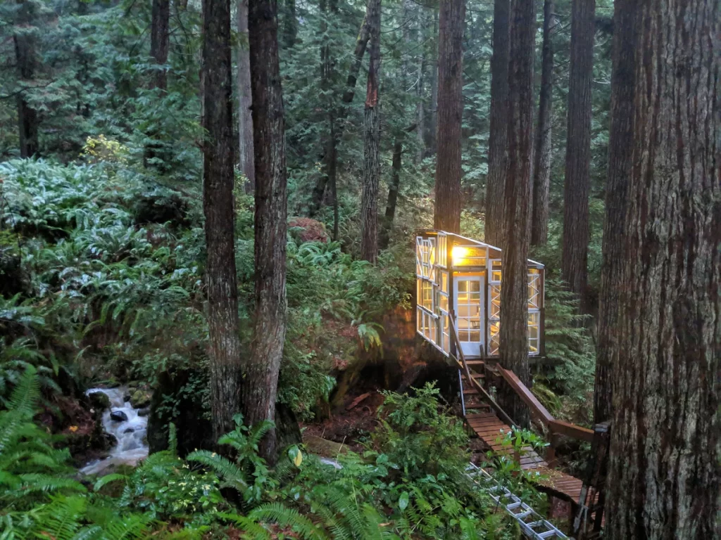 Christmas cabin
