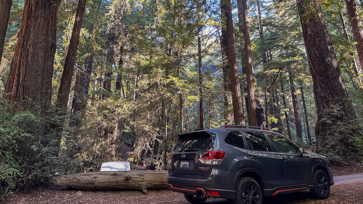 The Best Rooftop Tents For SUV Car Camping (2024)