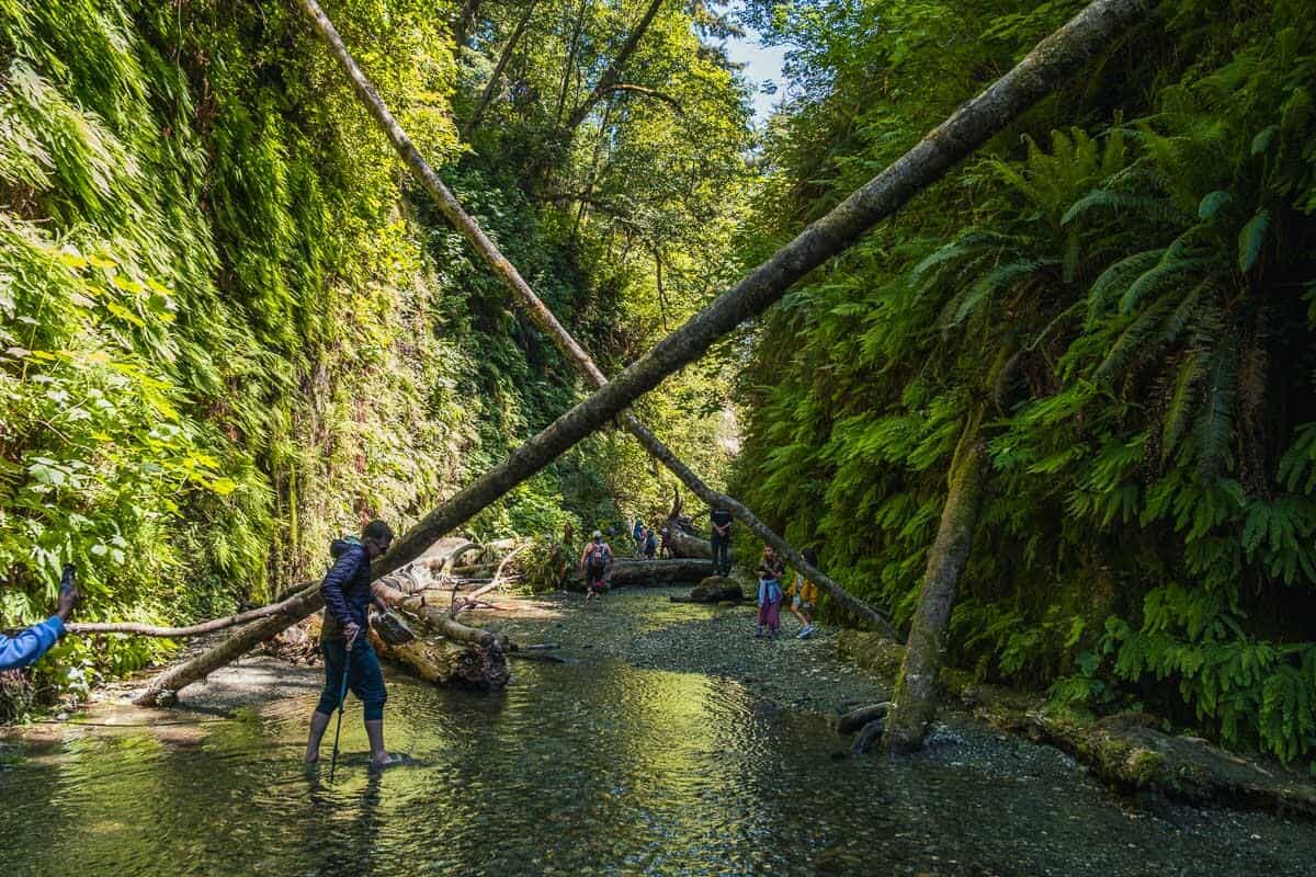 The Best Redwood National Park 2-Day Itinerary For First-Timers