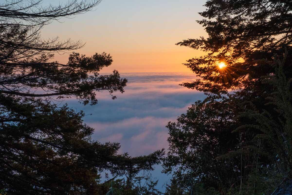 Where To Stay Near Redwood National Park For An Amazing Getaway